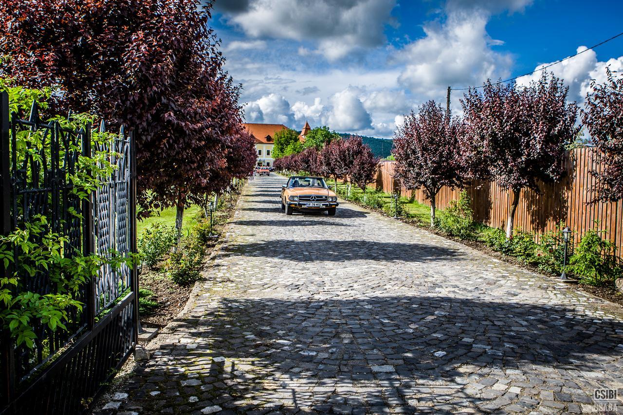 Castel Haller Ogra Dış mekan fotoğraf